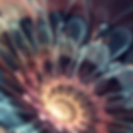 f55puByn75hb7HTmP0bF_1082109126.png