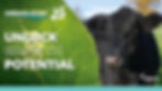 CFDL 2026 OS Calf 1920 x 1080px.jpg