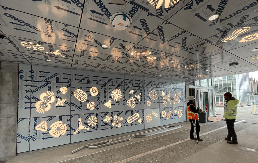 Cut metal and light art piece featuring magnified pollen located at Star Lake light rail station in Kent. By Eroyn & Tory Franklin