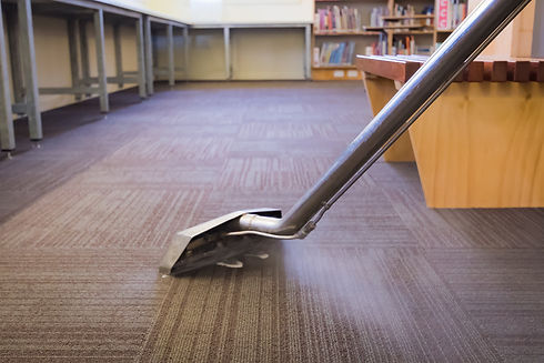 steam clean carpet2.jpeg