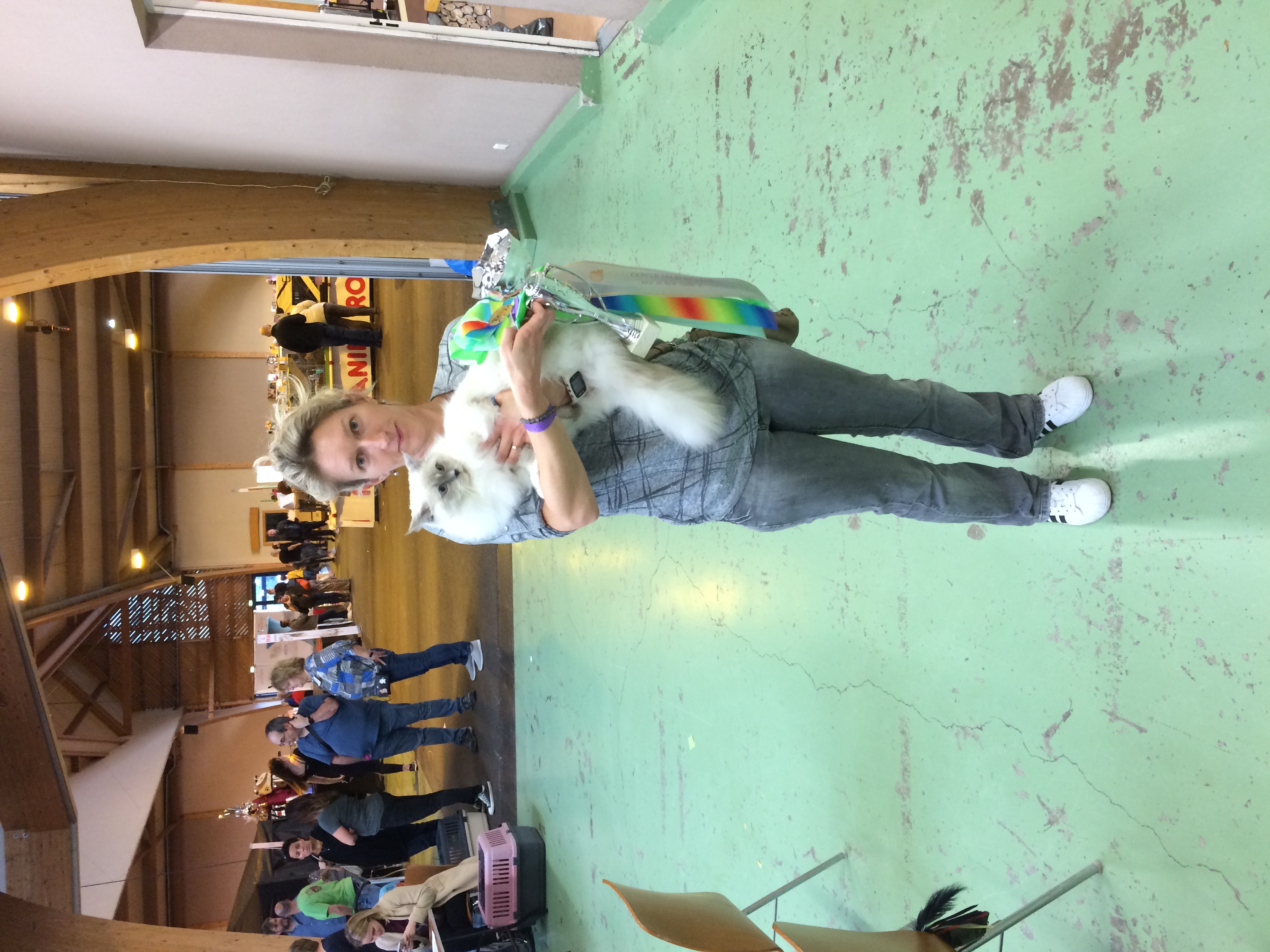 2019-10-26 17.48.33 copie