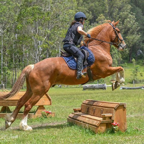 eventing sommer helene.jpeg