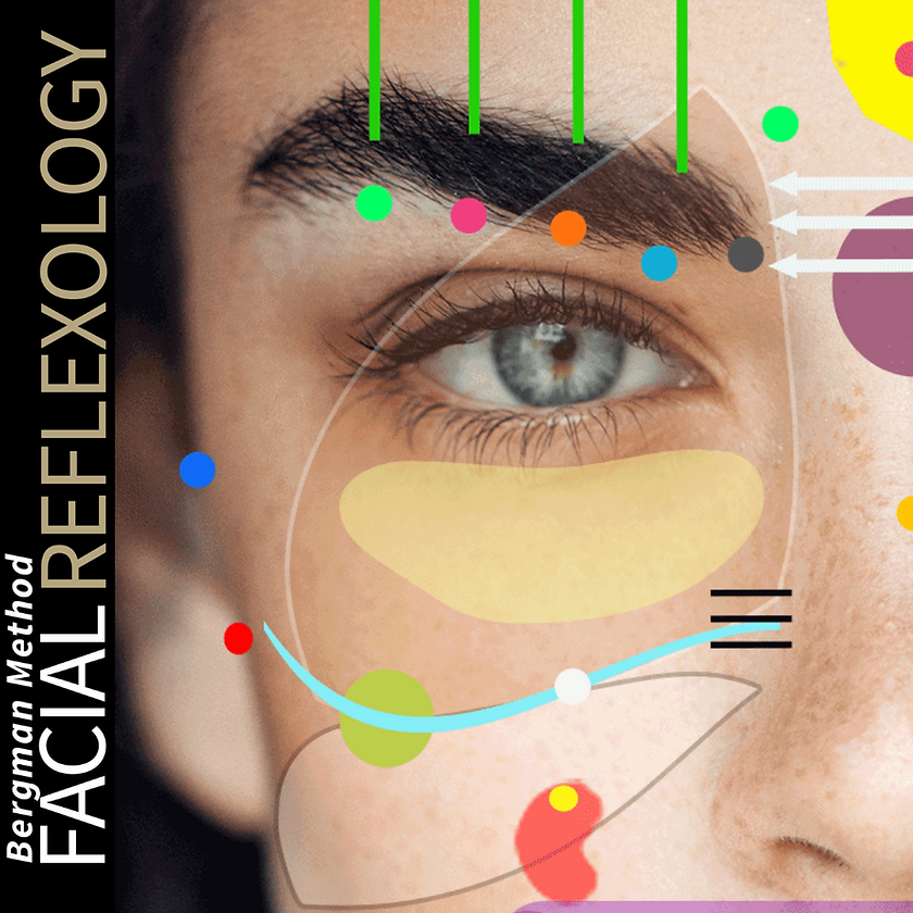 face chart.png