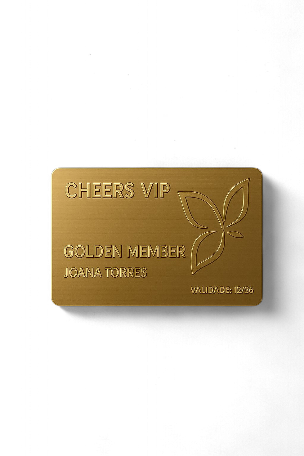 Imagem WhatsApp 2025-11-10 às 16.22.30_5