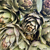 Il Carciofo: Storia, tradizione e ricette regionali