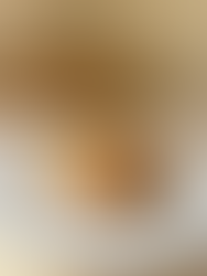 Lasagne: ricetta passo a passo