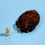 Thumbnail: An 18th Century Coquilla Nut Scent Bottle
