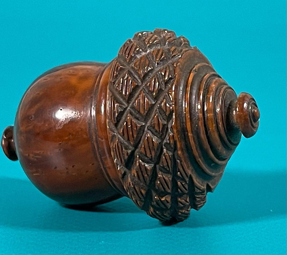 antique treen coquilla nut nutmeg grater for sale opus antiques uk