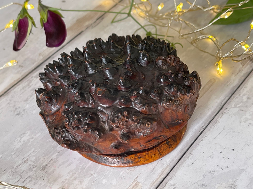 antique treen snuff box for sale opus antiques