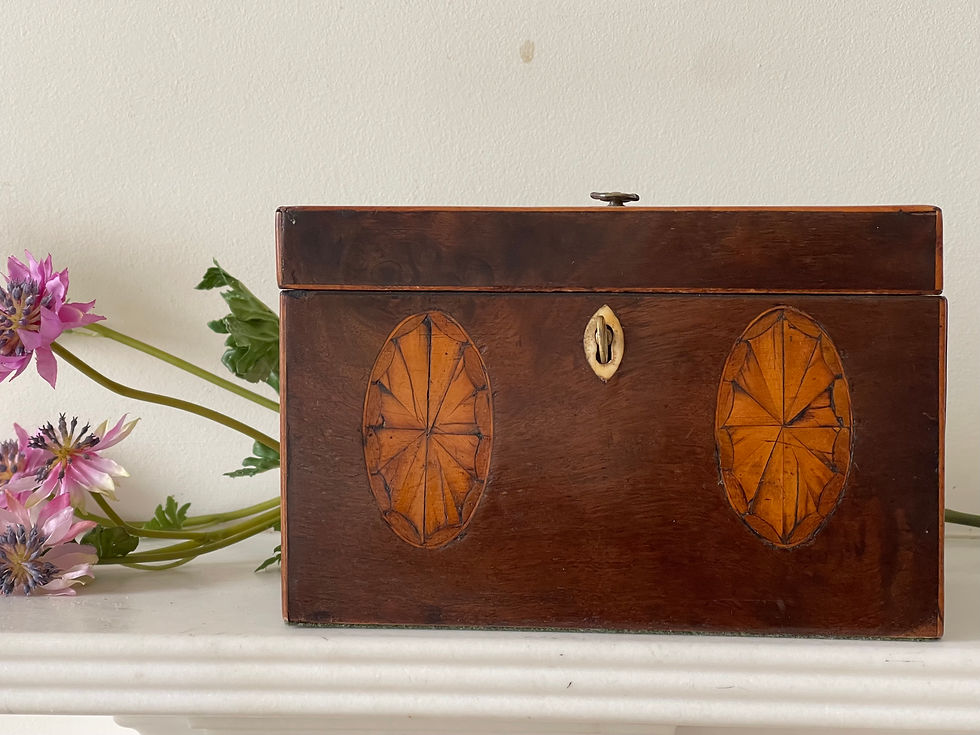 antique georgian tea caddy for sale opus antiques