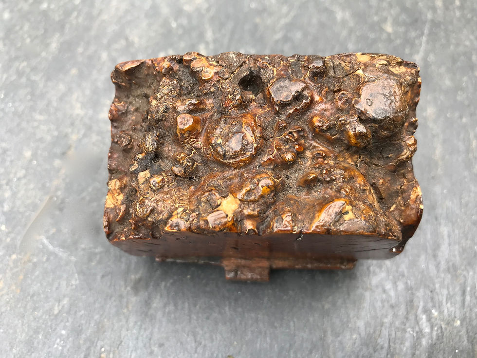 Thumbnail: A Georgian Burl Maple Snuff Box