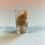 Thumbnail: Antique Apothecary/Medicine Chest