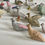 Thumbnail: An Antique Noahs Ark -80 animals & birds & 6 figures