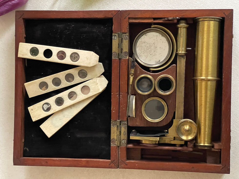 Thumbnail: an antique botanical microscope for sale opus antiques