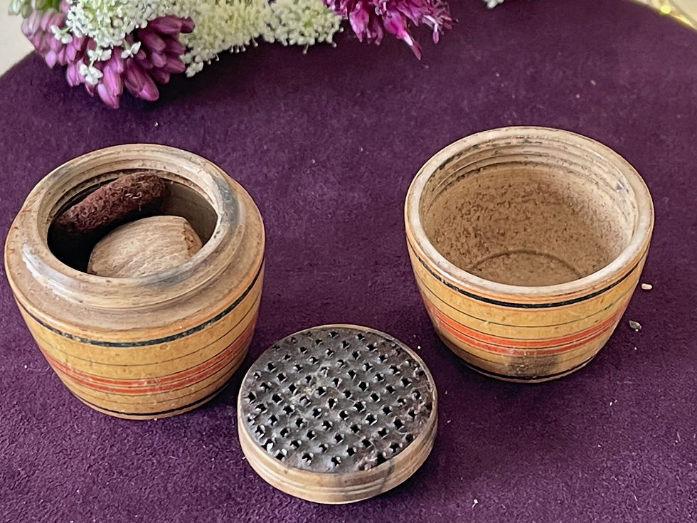 antique treen nutmeg grater for sale opus antiques