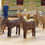 Thumbnail: A Small Folk Art Noah's Ark