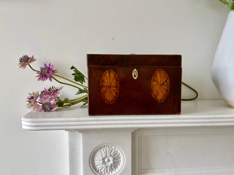 antique georgian tea caddy for sale opus antiques