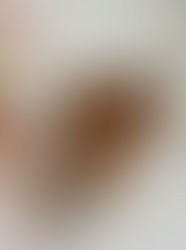 The Not So Humble Straw Splitters