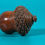 Thumbnail: antique treen coquilla nut nutmeg grater for sale opus antiques uk