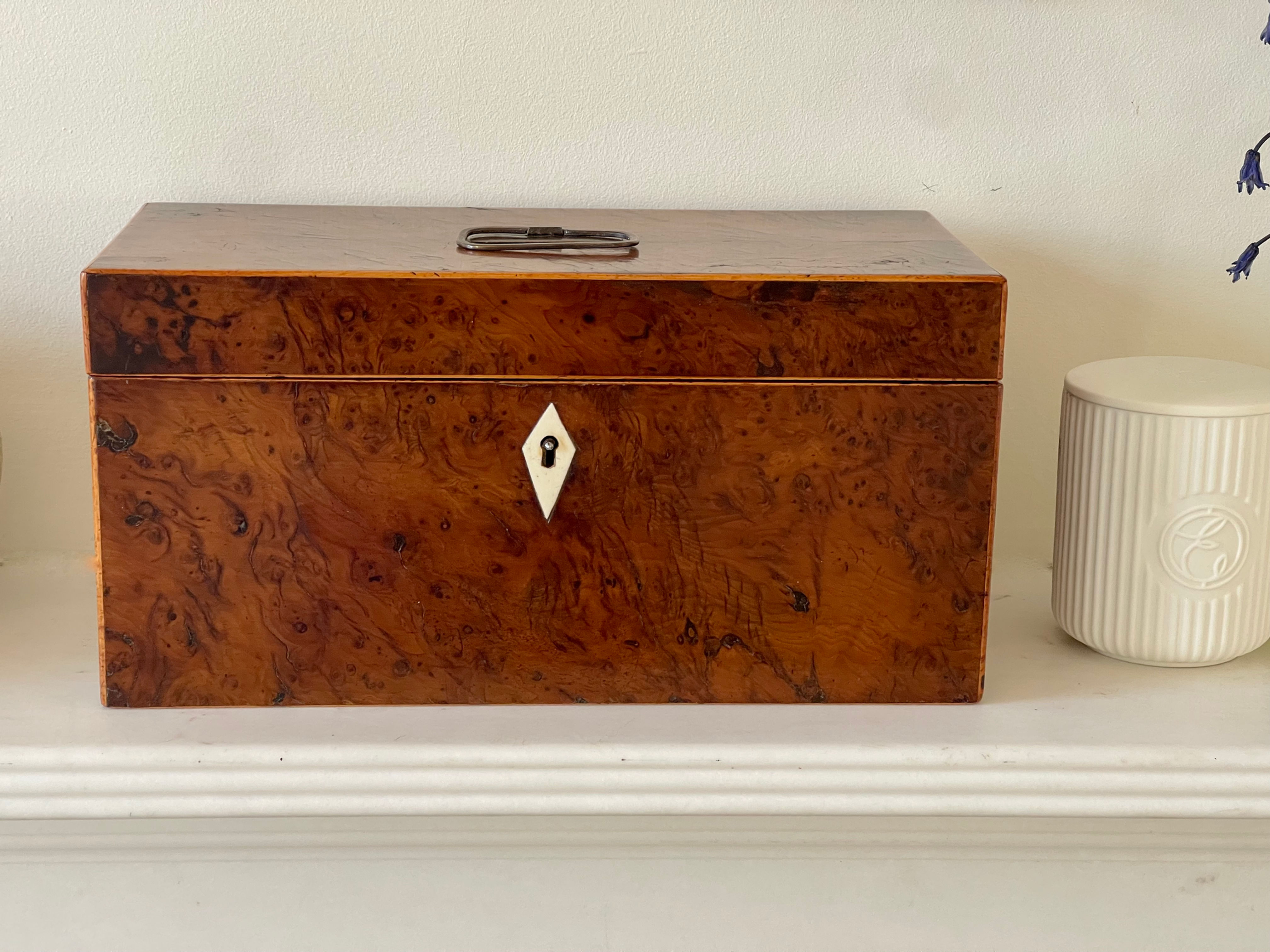 antique yew tea caddy for sale opus antiques