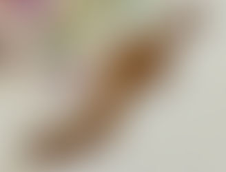 Antique Treen Goose Wing Knitting Sheaths