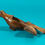 Thumbnail: antique treen snuff box of a bird for sale opus antiques uk