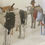 Thumbnail: An Antique Noahs Ark -80 animals & birds & 6 figures