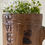 Thumbnail: A Small Antique Beechwood Measure