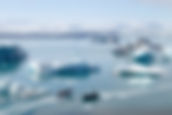 Frozen Land