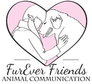 Furever Friends Animal Communication