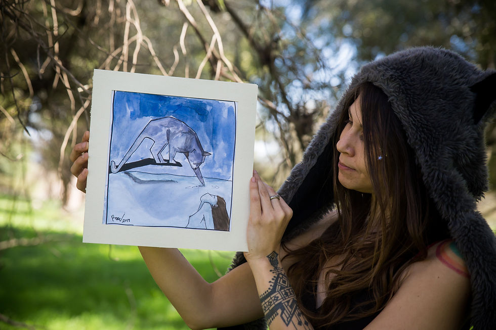 Thumbnail: Cat reflection, high quality print
