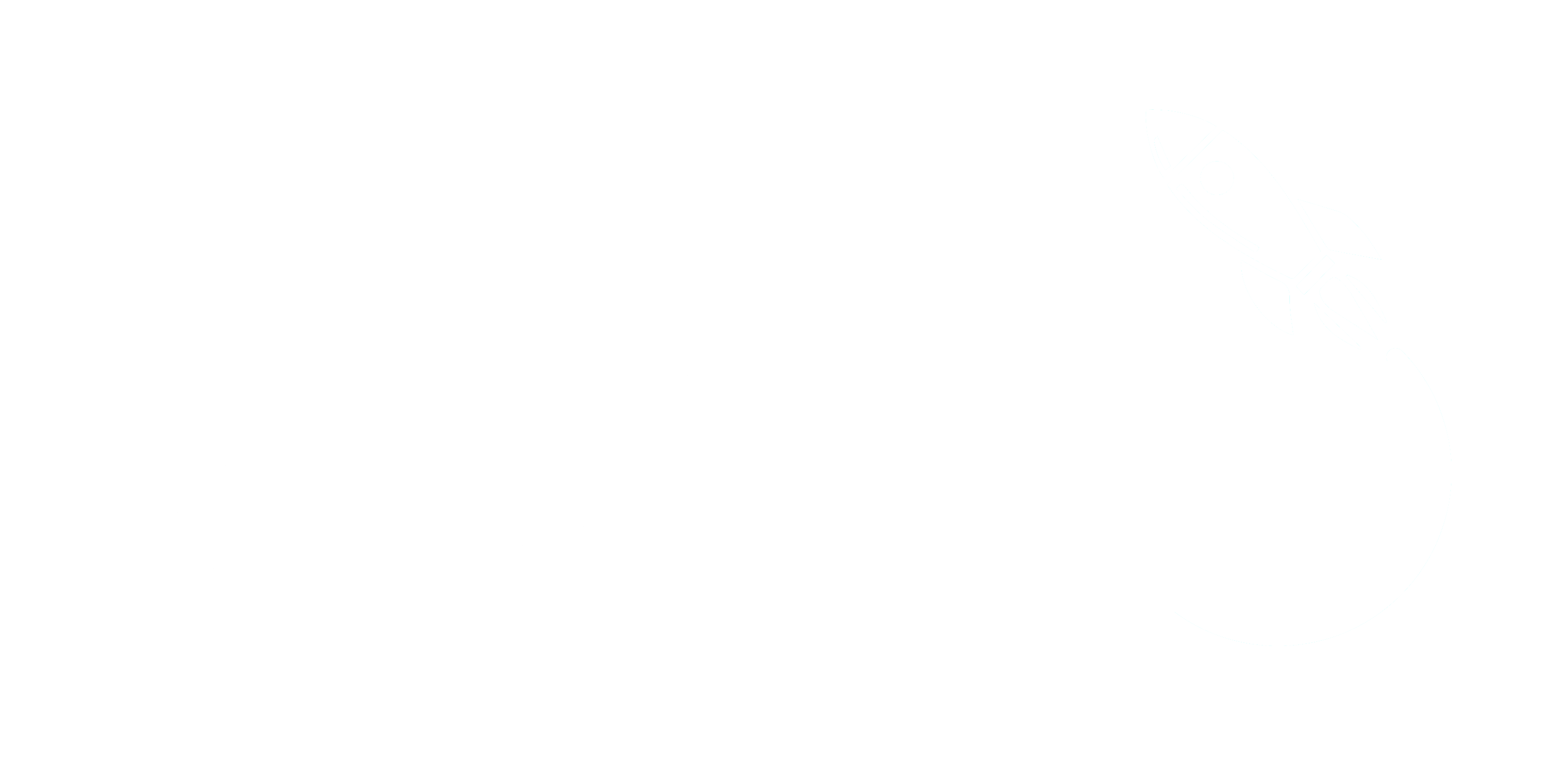 akti_logo_branco (1).png