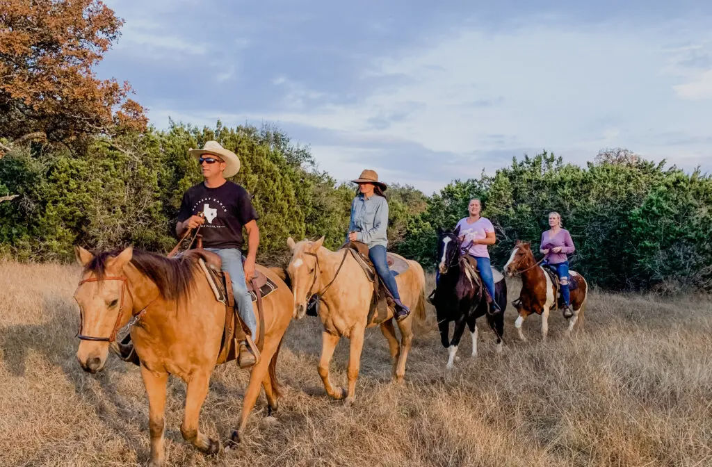 Midlife Women's Wellness Retreats