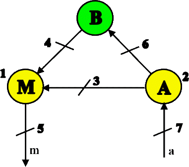 ludwig-lichtheim-ab3c8248-eef4-4a1f-96c6