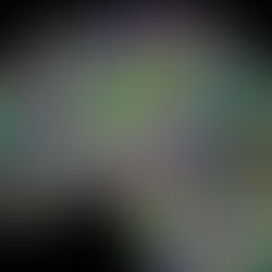 Neurociencia, Neurología, Psiquiatría y Psicología: Un encuentro inevitable