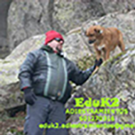 Ciudadano Canino Ejemplar, Adiestrador Canino Marid, Perros, Mascotas, Cosas, Educacion, Entrenamieno, Agresividad, Miedos