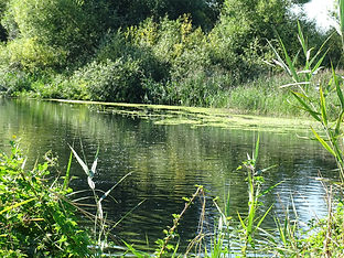 DSC02379.JPG