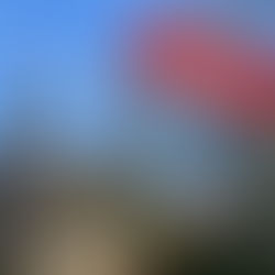 Non à la destruction des églises de France