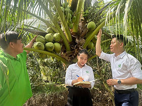 qcert-vn.jpg