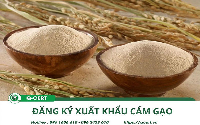 xuat-khau-cam-gao.jpg