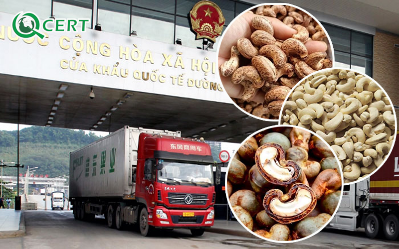 Xuất khẩu hạt điều sang Trung Quốc