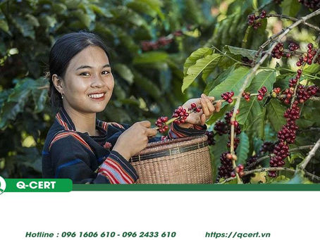 Cẩm nang xuất khẩu cà phê Việt Nam