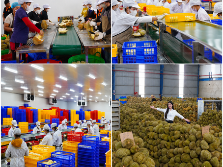 Có cần HACCP để đăng ký GACC không?