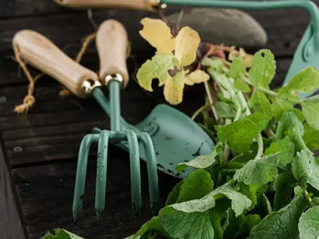 Hand held cultivators