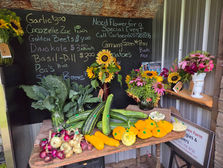 Freshly picked Zuchini, Peas, Basil, Flowers, Garlic
