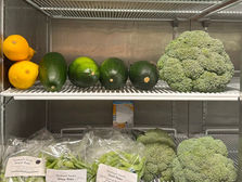 Freshly picked brocoli, squash, beans, peas