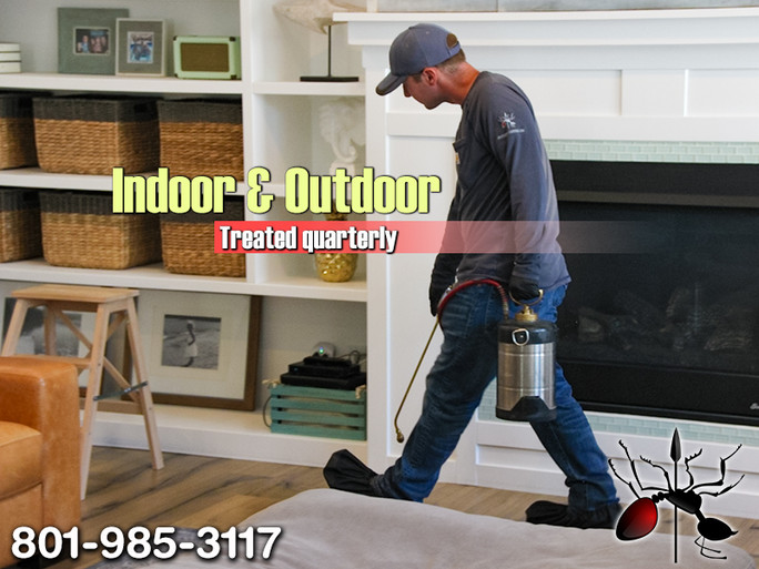 Pest Control Jensen's Pest Control Utah