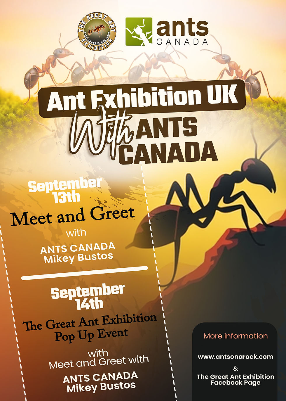 Ant Exhibition UK with Ants Canada