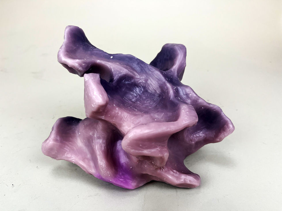 Implied Motion (Biomorphic Wax Casting):