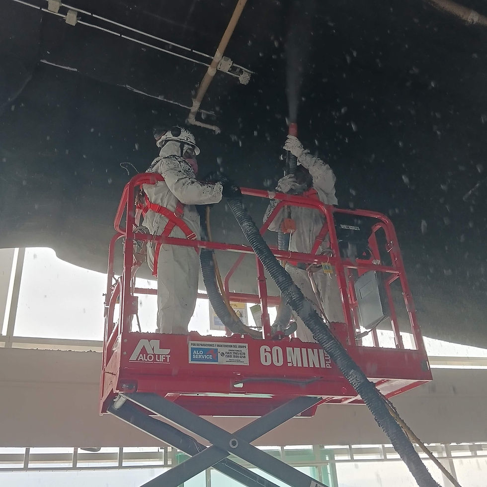 Proyección de celulosa Sonaspray a una altura de 7 metros